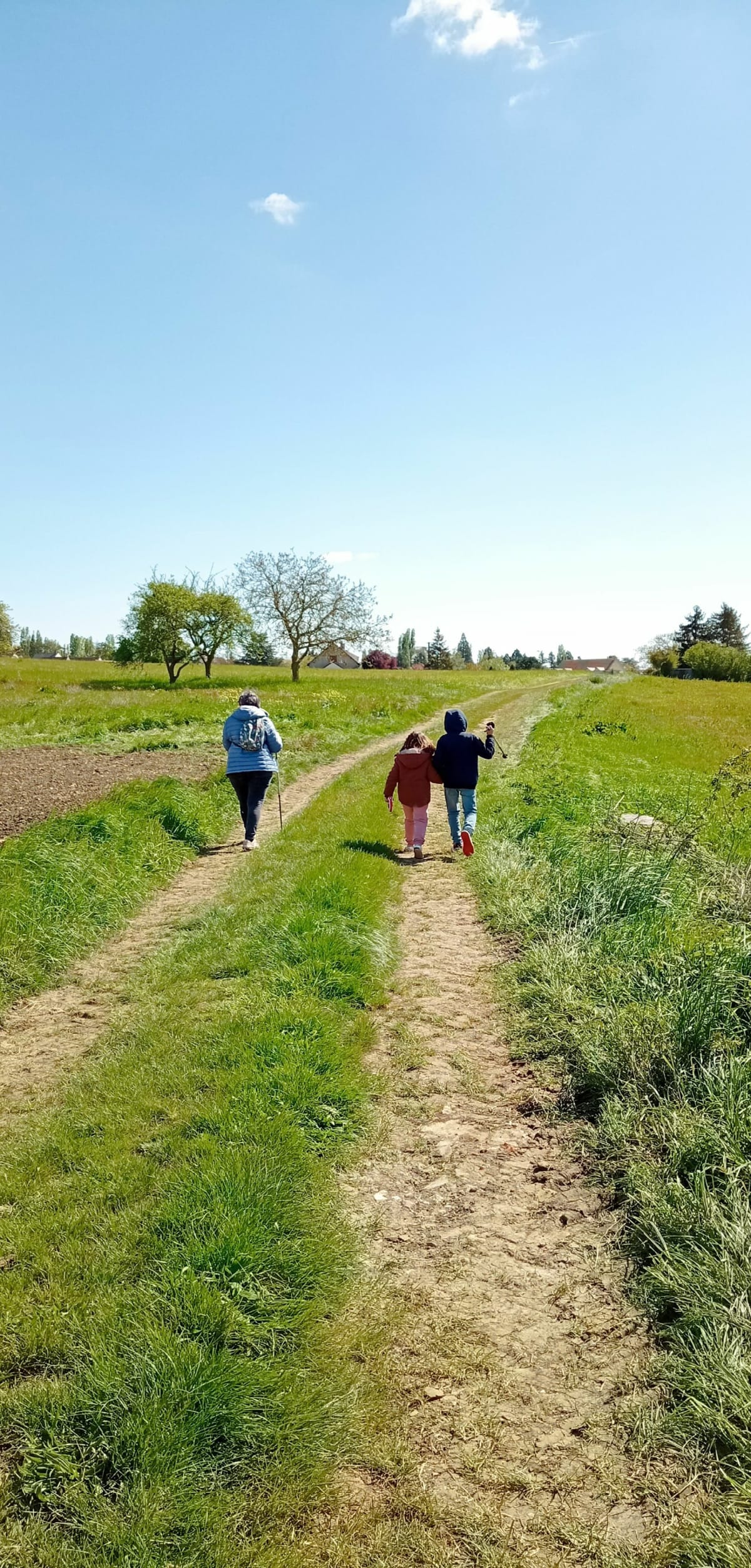 Dammartin-en-Serve par la Basse Brossette - Nadine