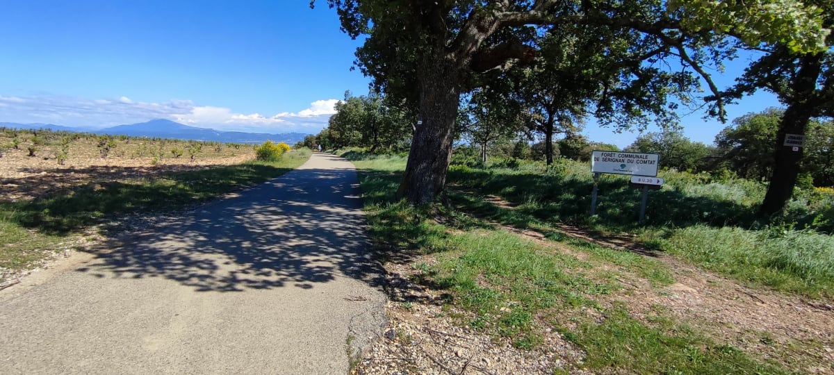 Rando sur le massif de Sérignan - Sérignan-du-Comtat