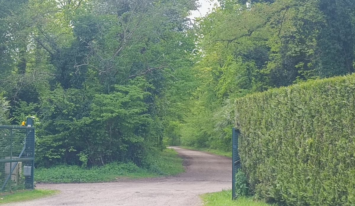 Petite boucle en forêt à Borest - Borest