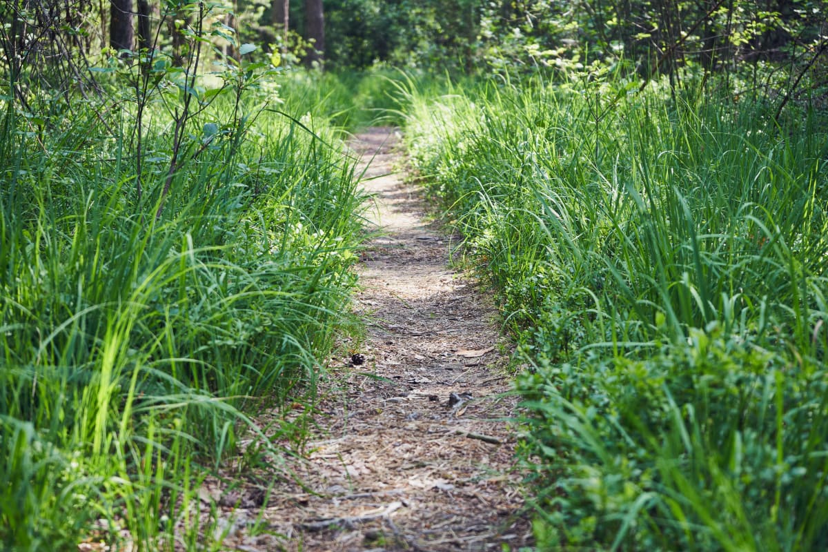 Dolina Miłości – urokliwy spacer w otoczeniu zieleni - Zatoń Dolna
