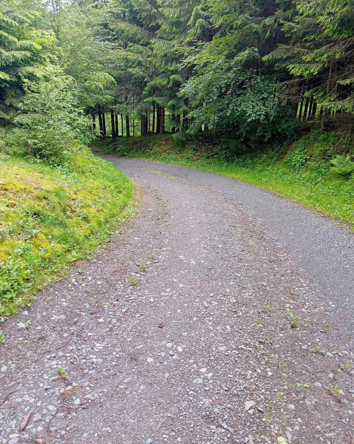 Vers la route de Belfays - Saint-Stail