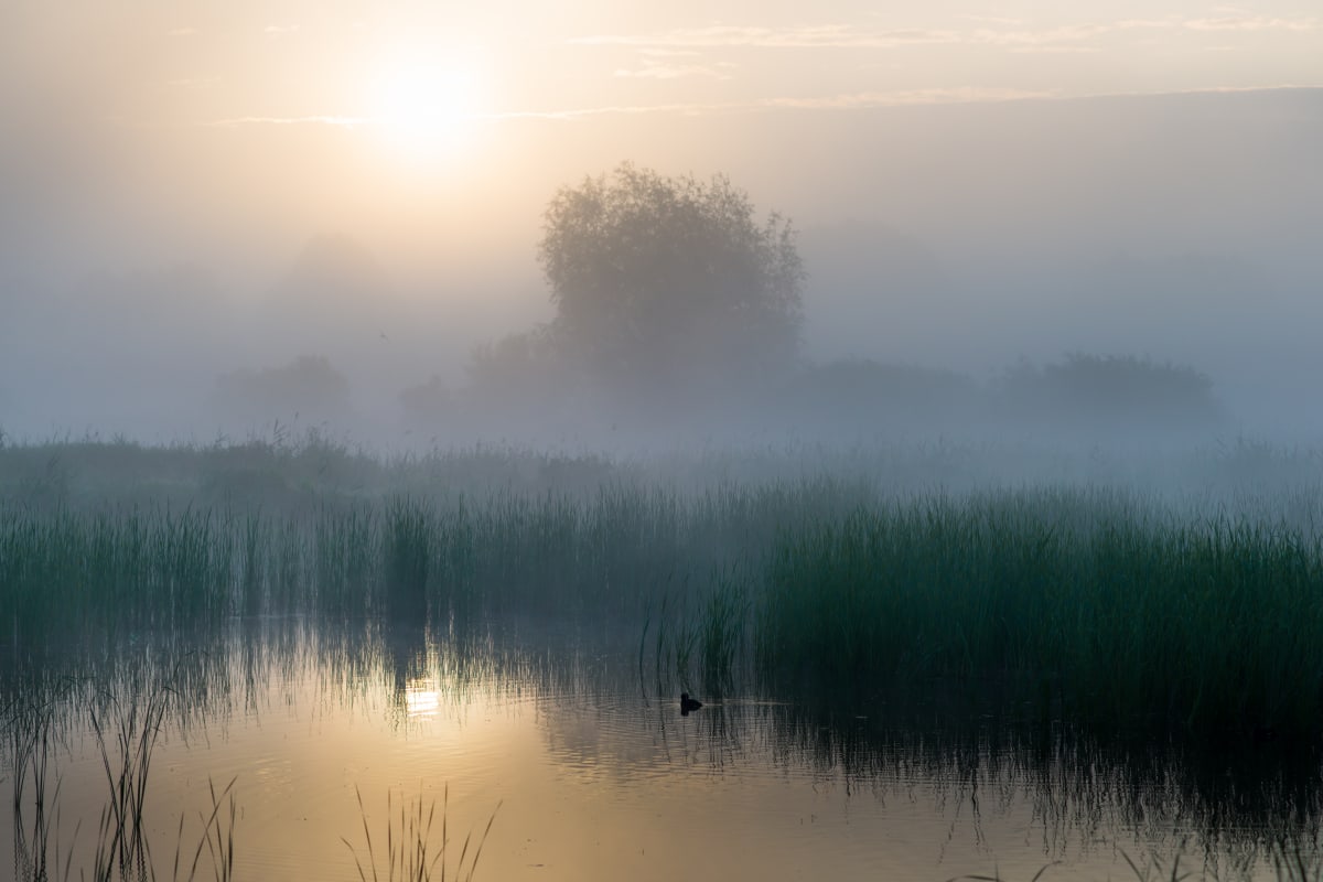 Jezioro Czerniańskie – natura i spokój w sercu Beskidu Śląskiego - Wisła