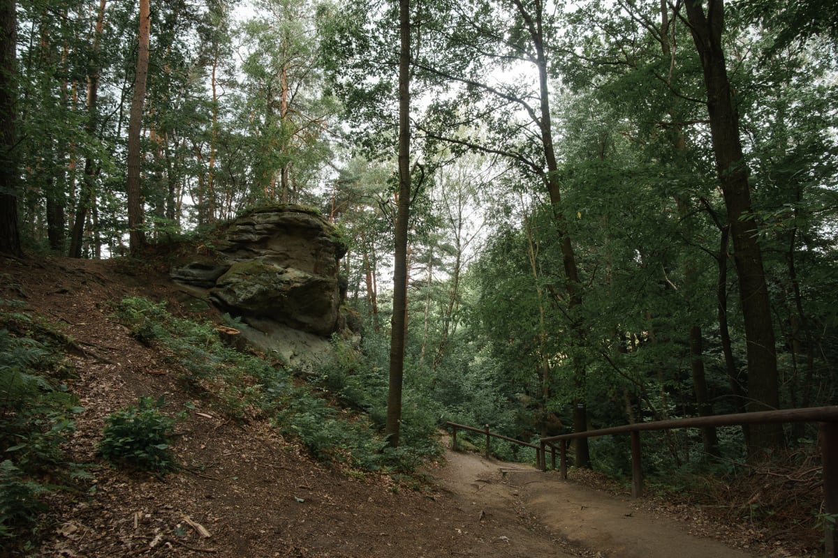 Park Zdrojowy w Ciężkowicach — trasy edukacyjne i relaks - Ciężkowice