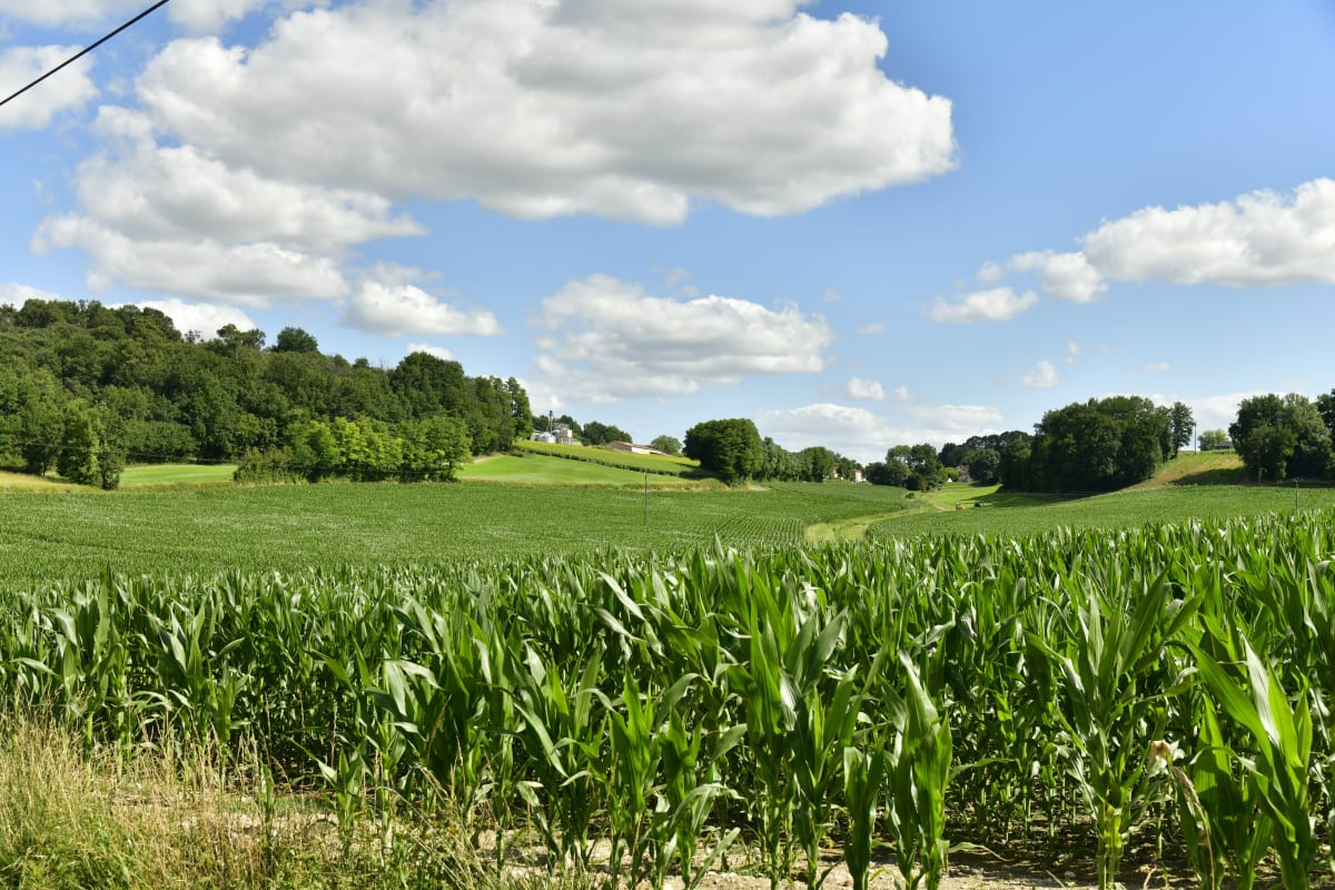 Boucle autour de Paussac - Paussac-et-Saint-Vivien
