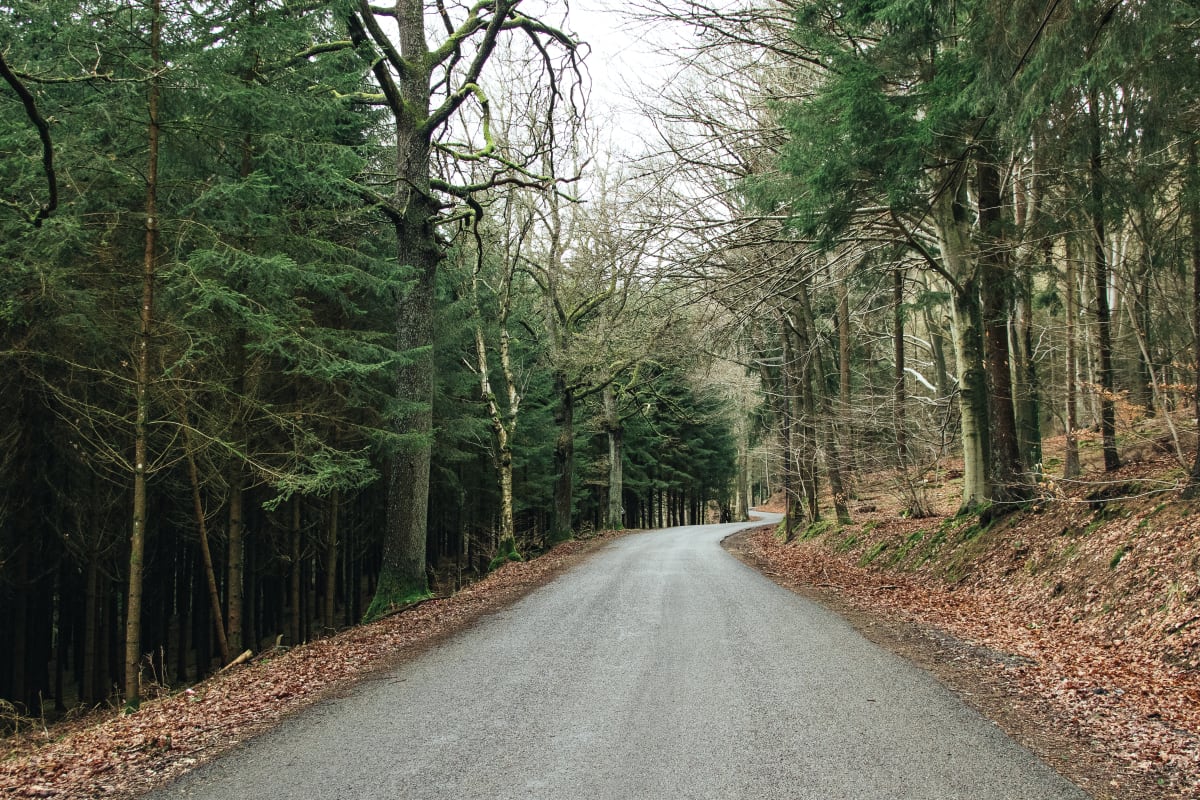 Boucle d'Hombourg à Aboncourt - Hombourg-Budange