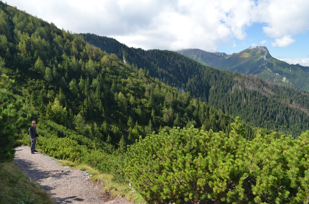 Przełęcz między Kopami: malowniczy przystanek na drodze z Murowańca - Zakopane