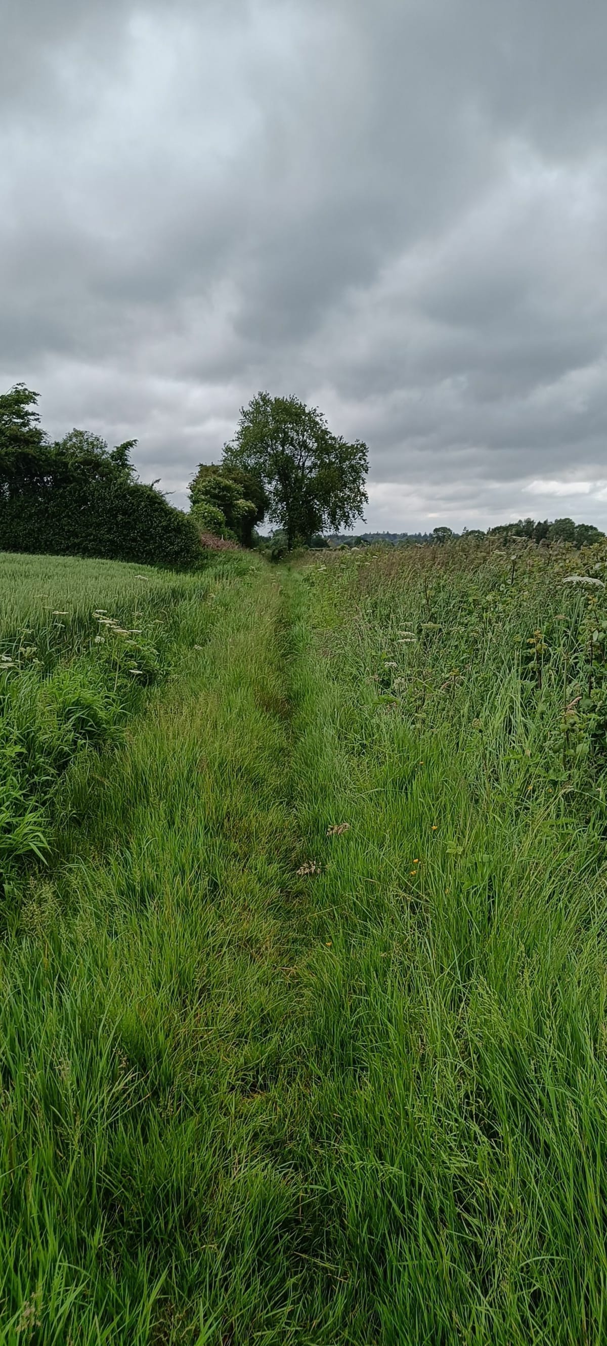Chemin de Bernay et Marolles - Marolles