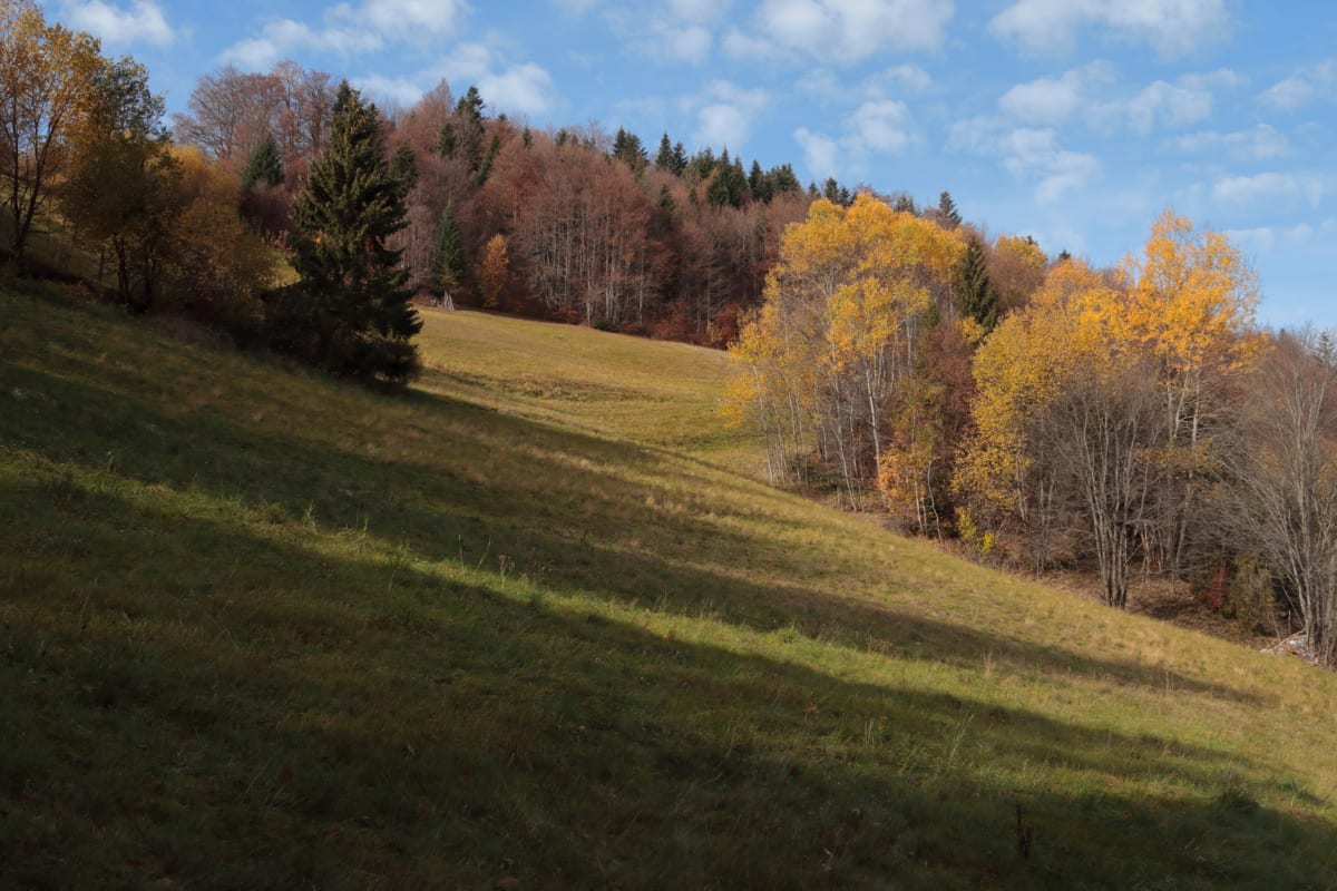 Gorcowiaki – dobra baza wypadowa na górę Gorce - Zasadne