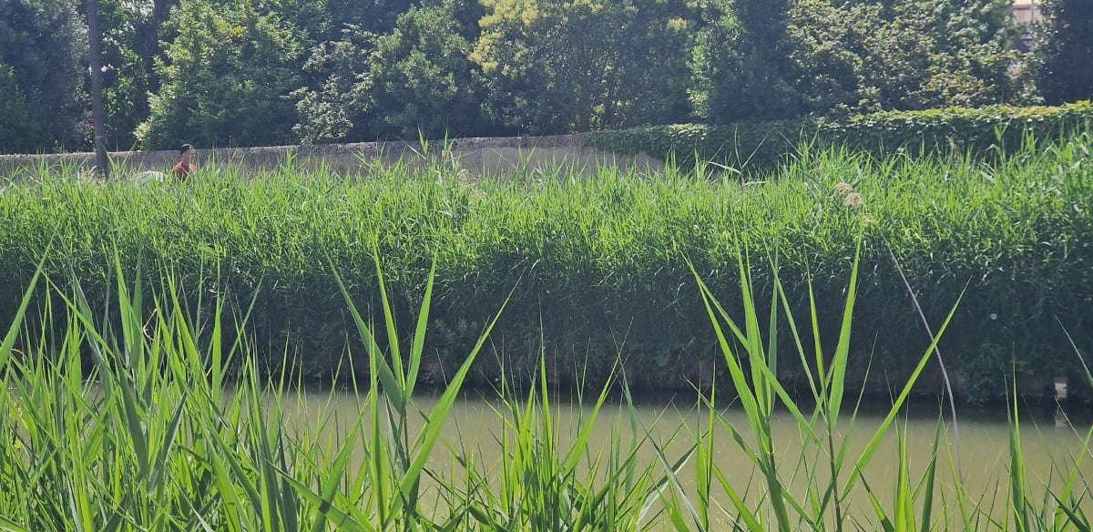 Balade du canal de Gruissan - Fleury