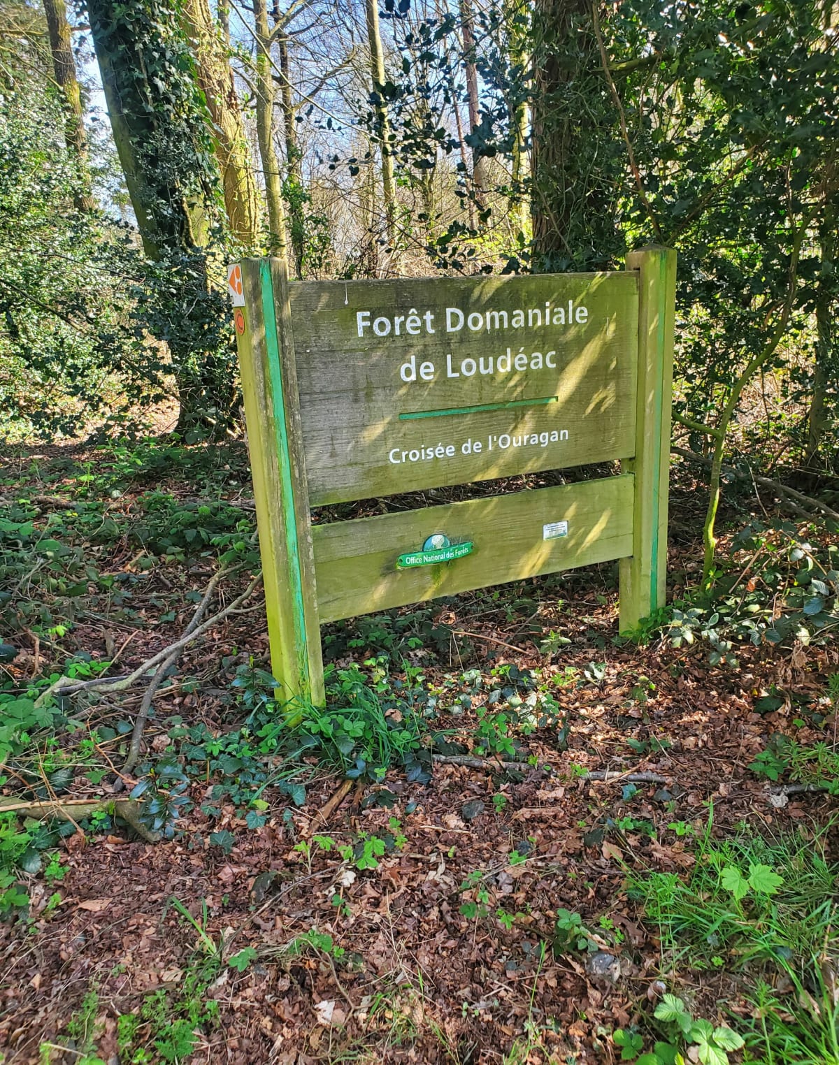 Forêt de Loudéac. centre équestre - Loudéac