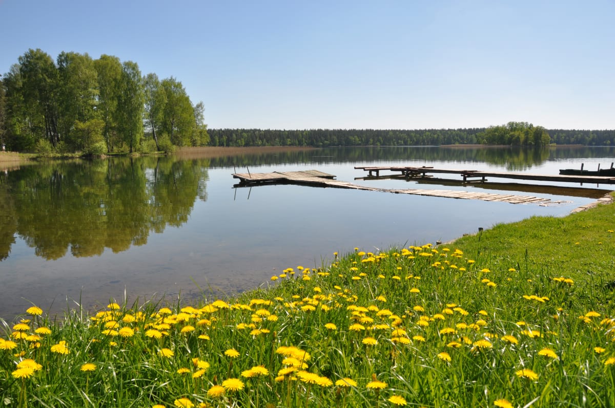 Jezioro Serwy - wędrówka pośród błękitu i zieleni Suwalszczyzny - Serwy