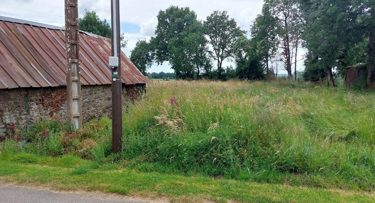 Balade à Cousmes - Lespas - Brécé