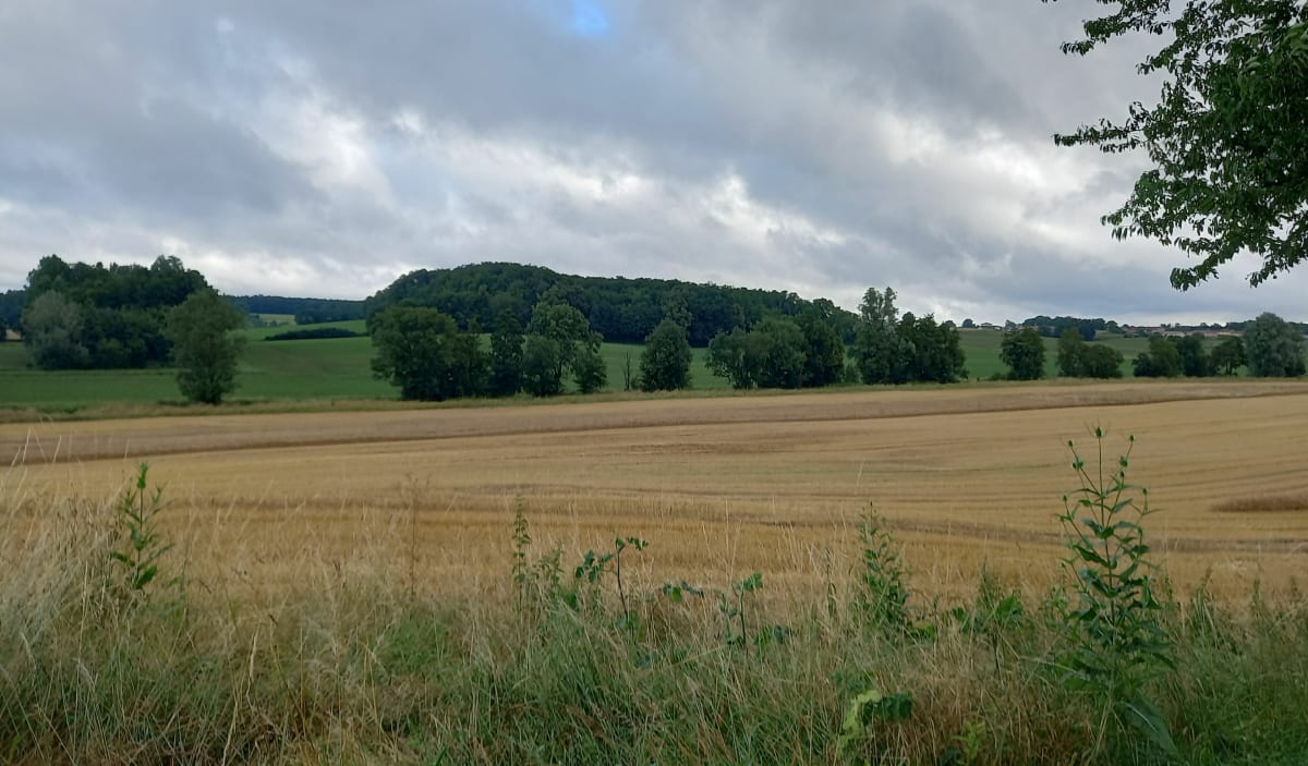 Sortie à Saint Cyr sur Menthon - SONIA