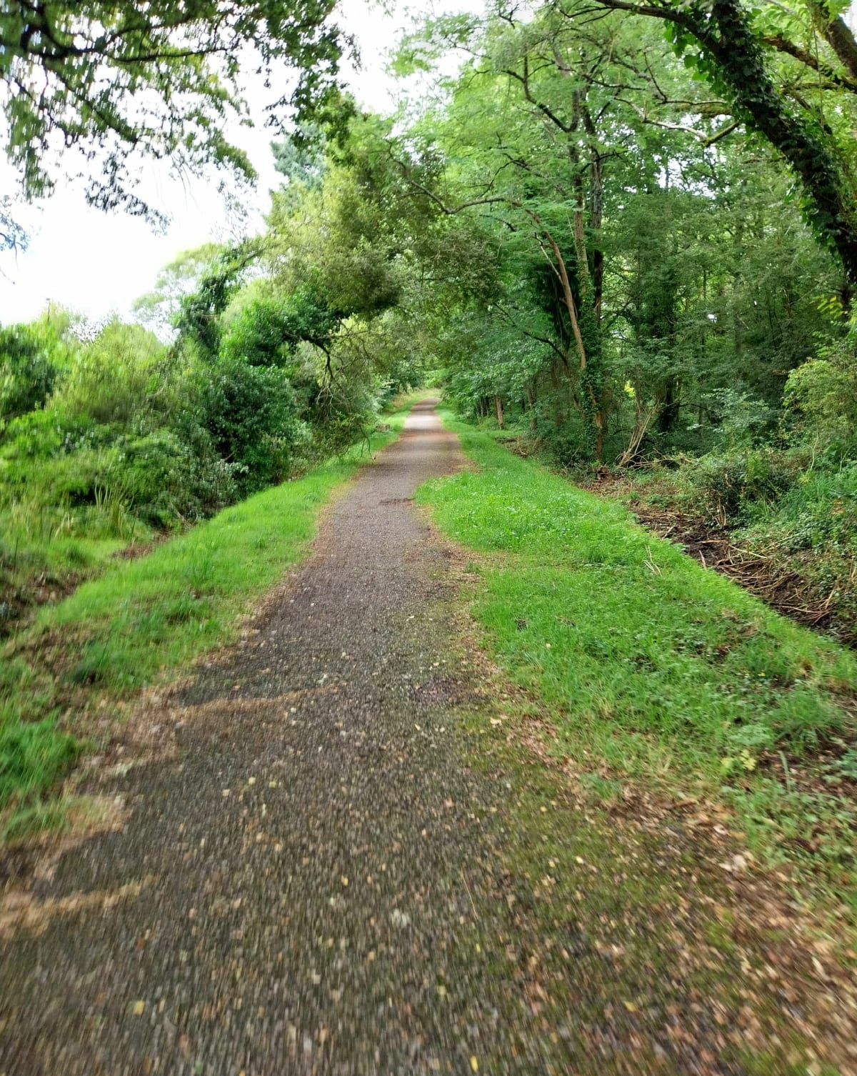 Boucle Chezine, parc Begraisiere - Saint-Herblain