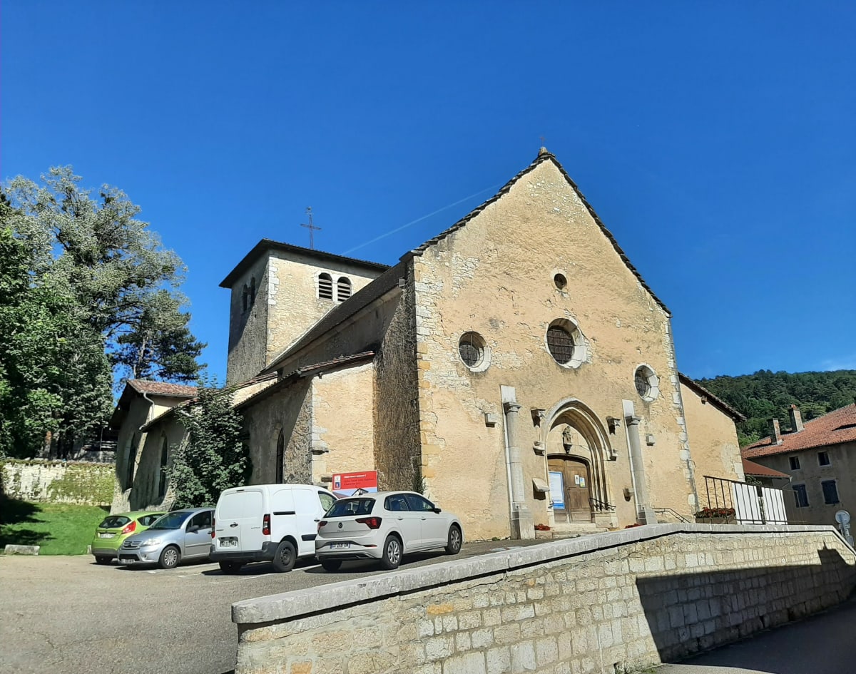 Ruine du château de Jasseron - Jasseron