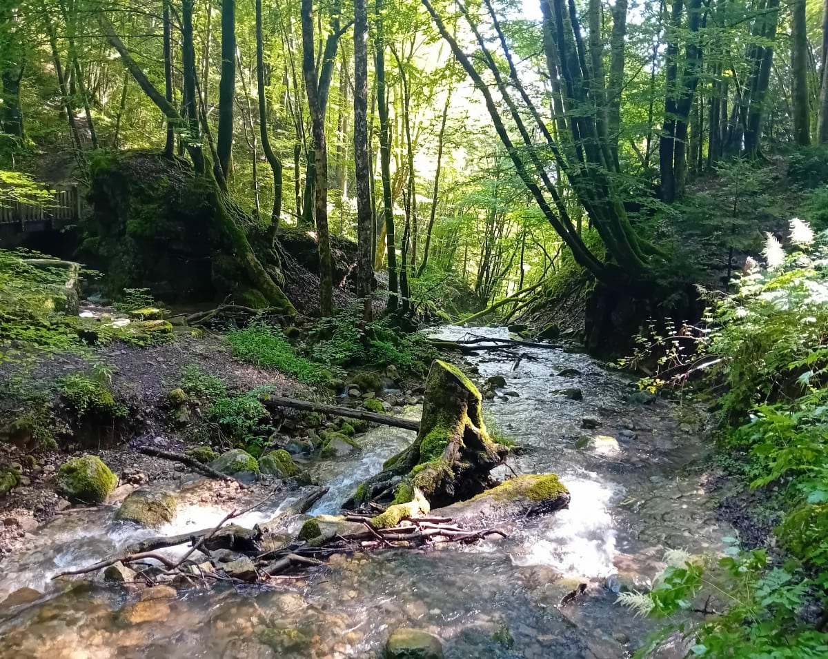 Rando sur le plateau de Saint-Hilaire - Plateau-des-Petites-Roches
