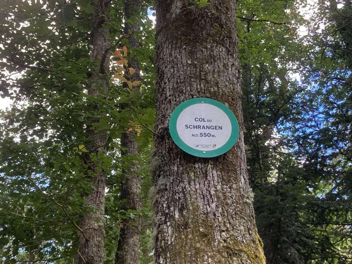 Randonnée sur les hauteurs de Murbach - Buhl