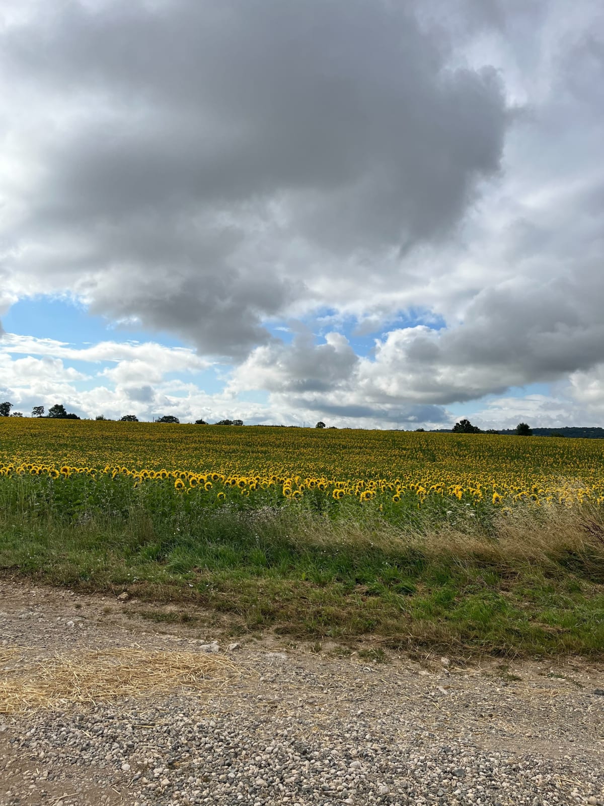 Boucle vers Celles-sur-Belle - Chauray