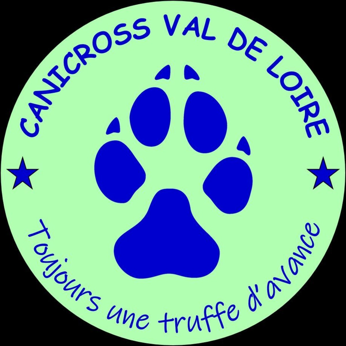 Balade canine en forêt d'Orléans - Sury-aux-Bois