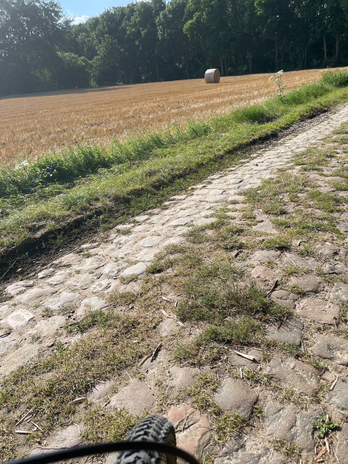 Allennes-les-Marais, la Deûle et forêt - Allennes-les-Marais