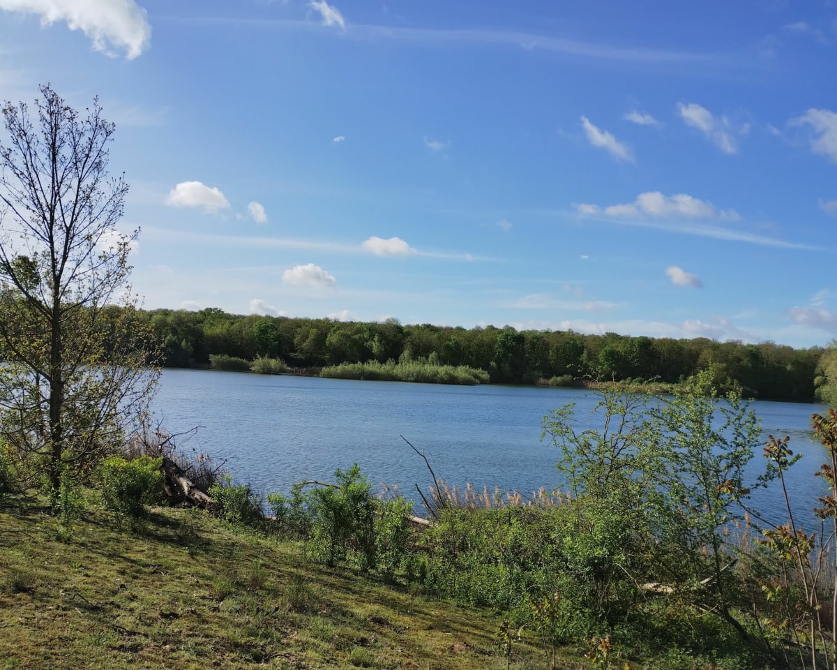 Entre Seine et forêt de Saint-Germain-en-Laye - Sartrouville
