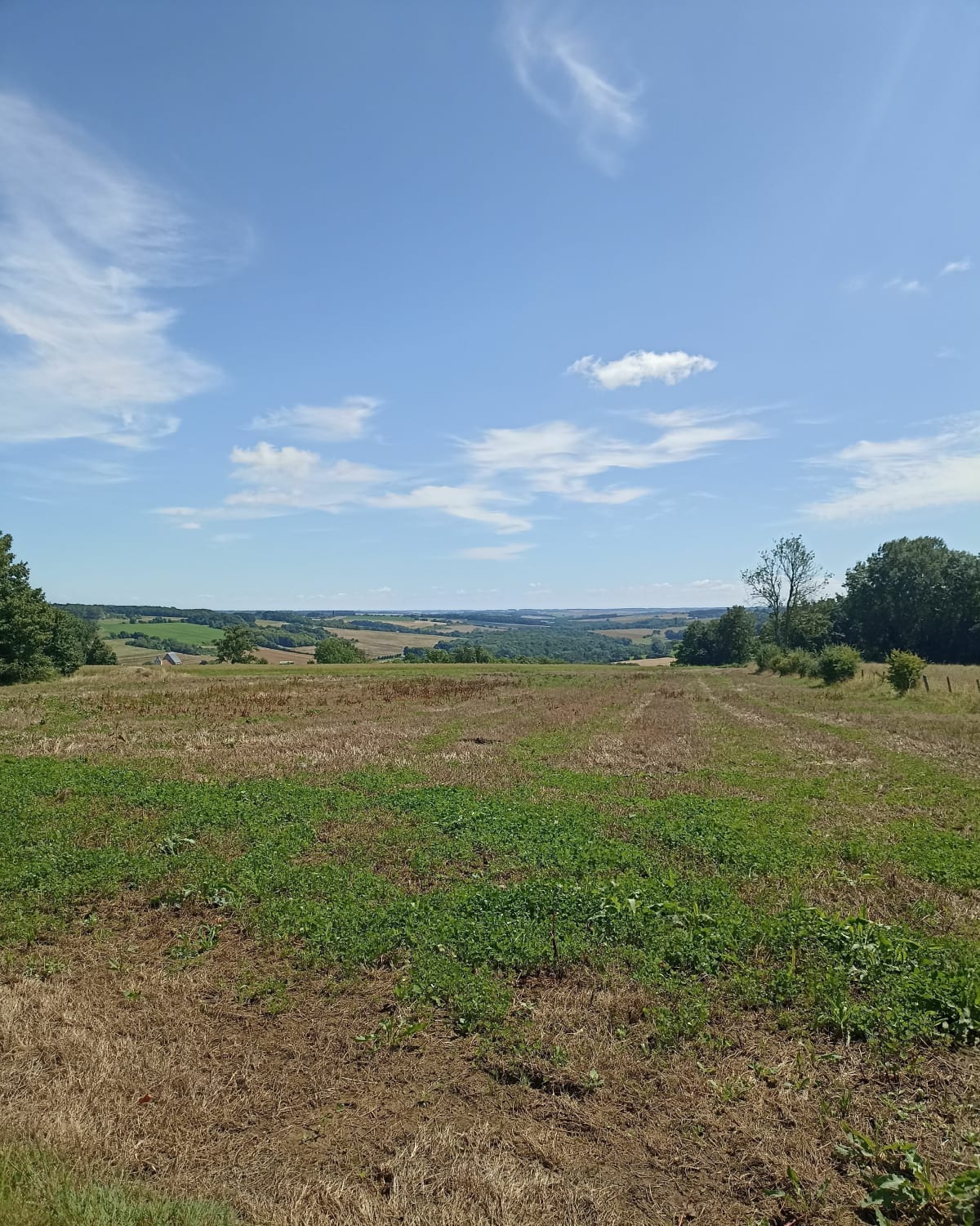 Haut de la vallée du petit Morin - Verdelot