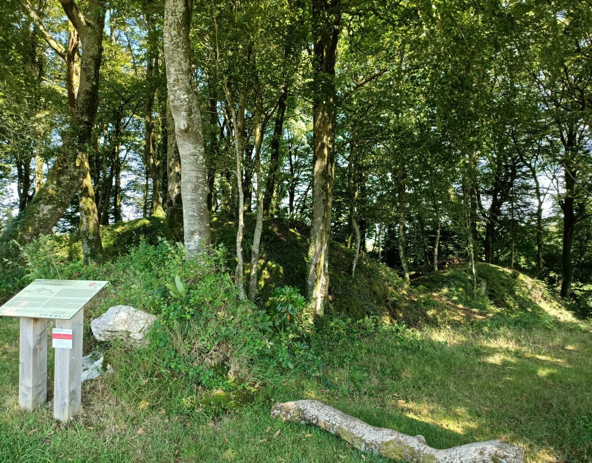 Le tour du camp Romain - Gourin