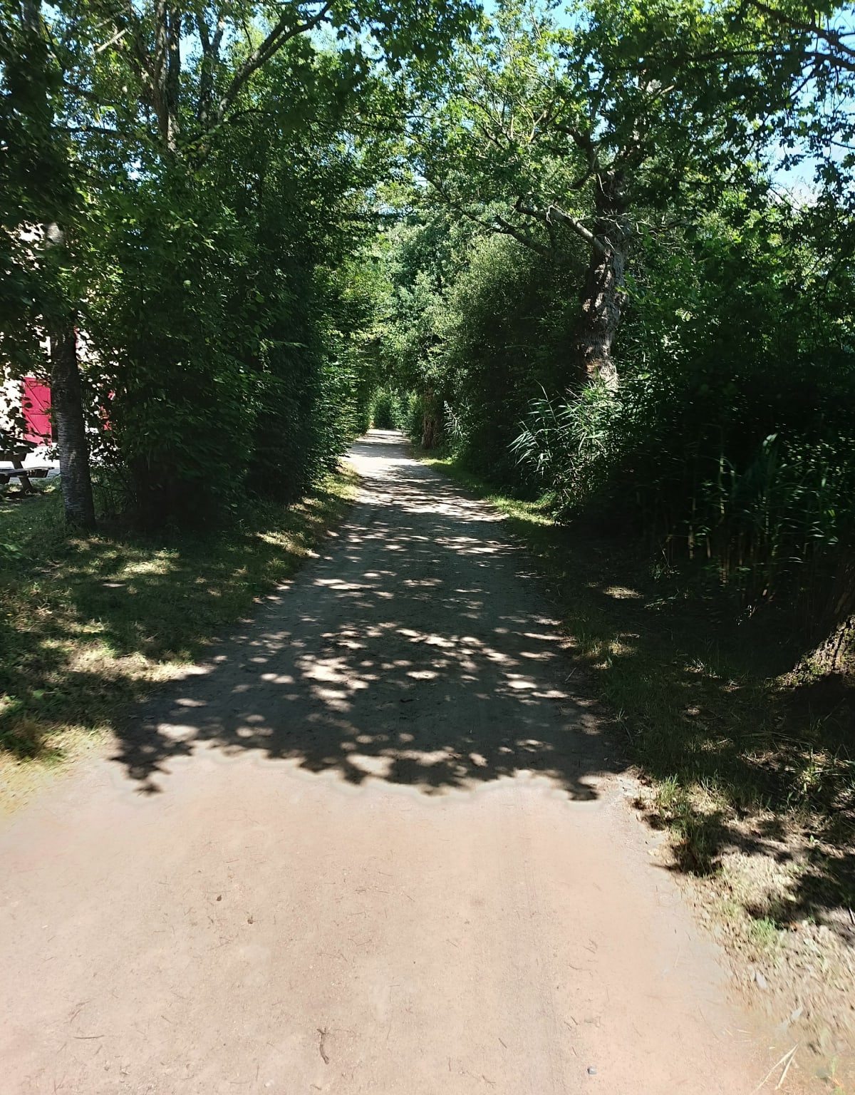 Promenade familiale au départ de Changé - Changé
