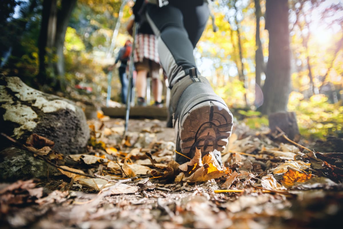 Trudna trasa o długości 17 km: Jaskinia Punkevni, Przepaść Macocha i Morawski Kras - Blansko