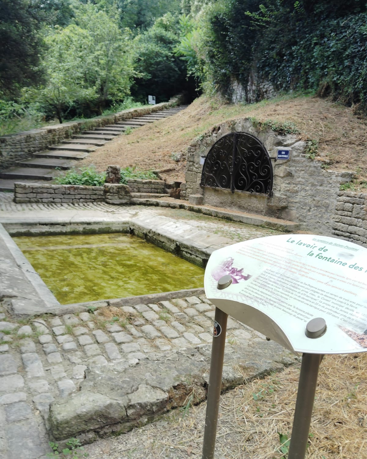 Balade le long de la Sèvre à Niort - Niort