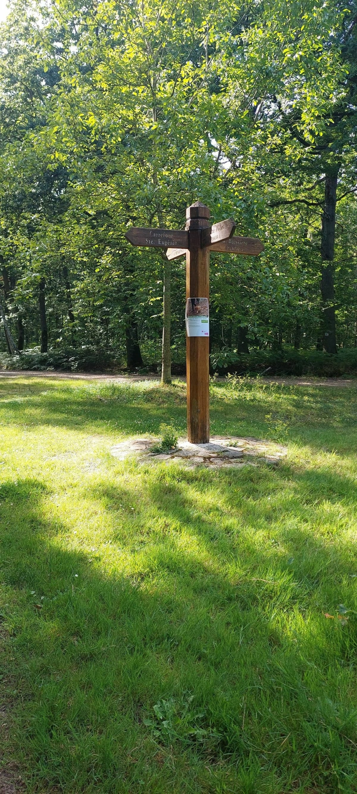Petite boucle dans les bois de Sainte-Apolline - EDWLNE