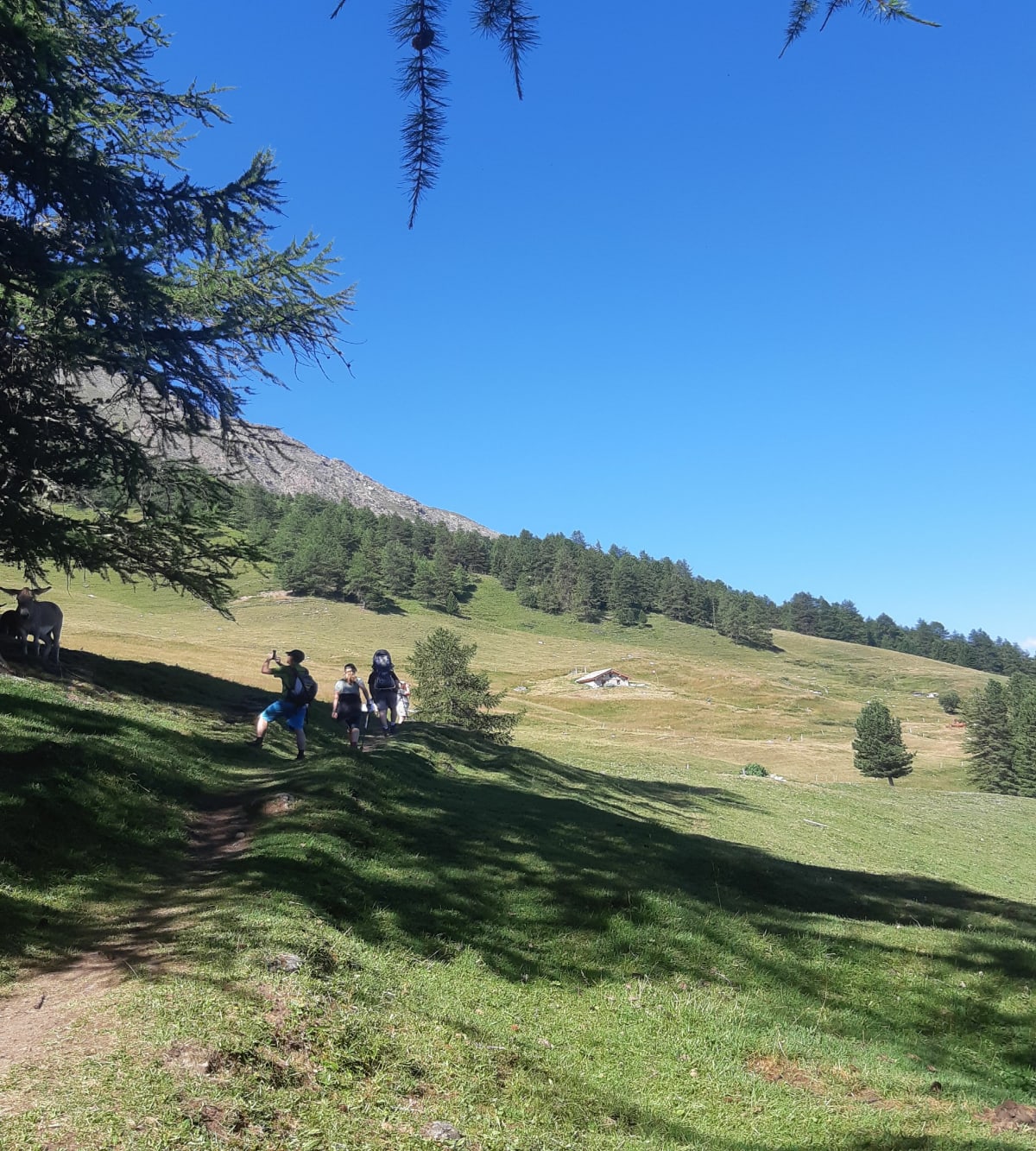 Les alpages de Montbats - Val-Cenis