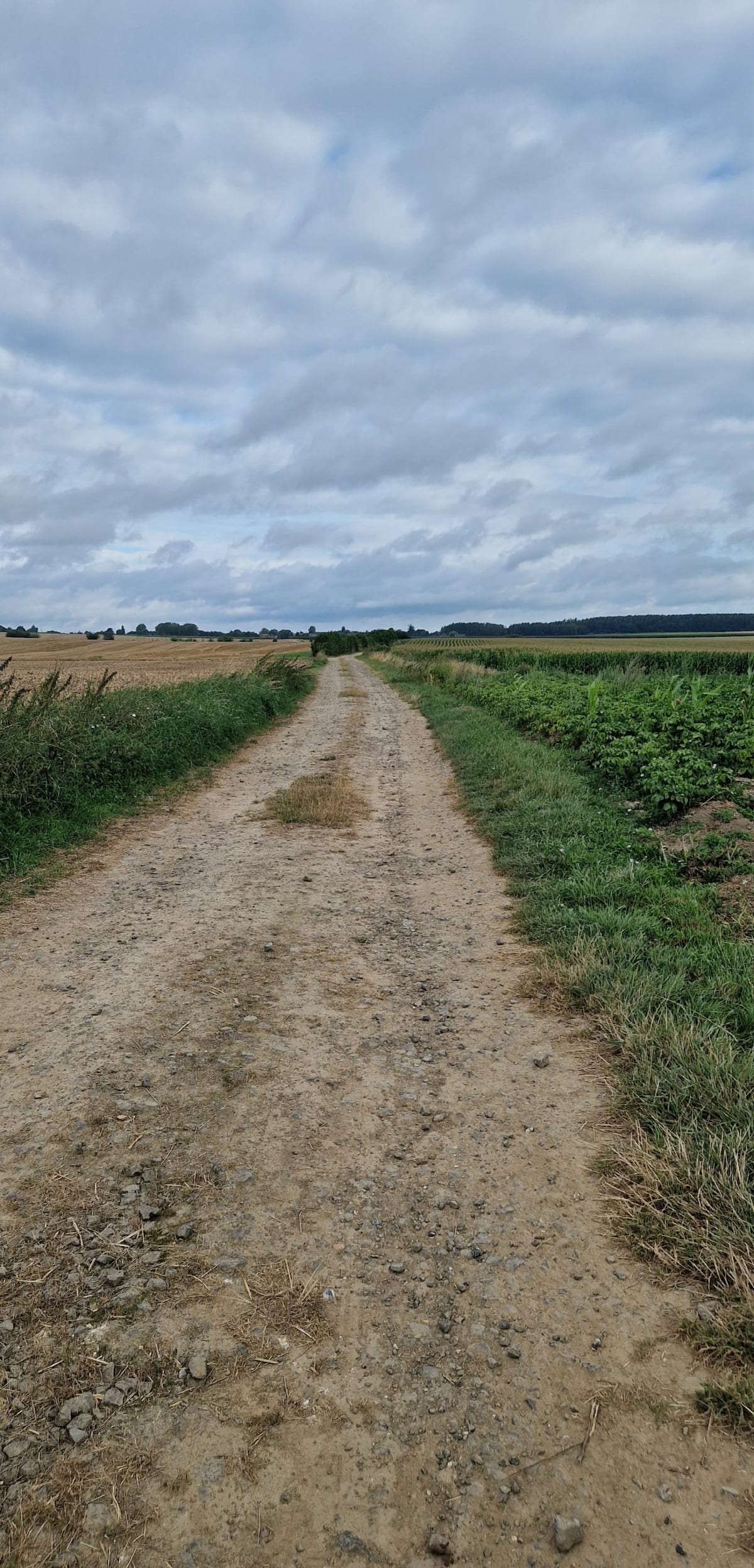 Balade  nature entre Auchel et Burbure - Lozinghem