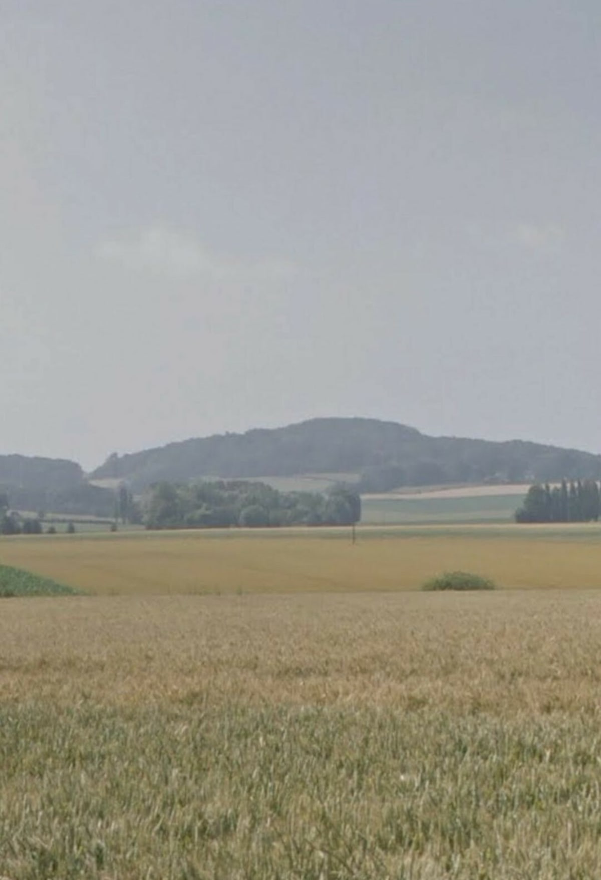 Petite balade en Flandre à Hardifort - Hardifort