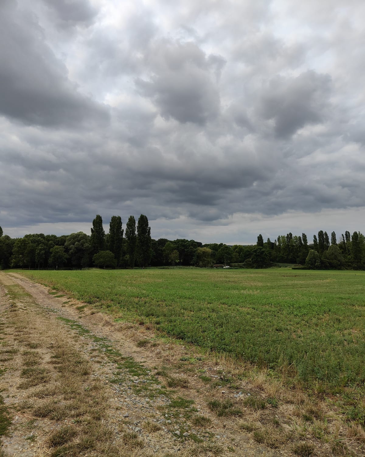 La fontaine dorée et parcours dans les champs - Neuillé-Pont-Pierre