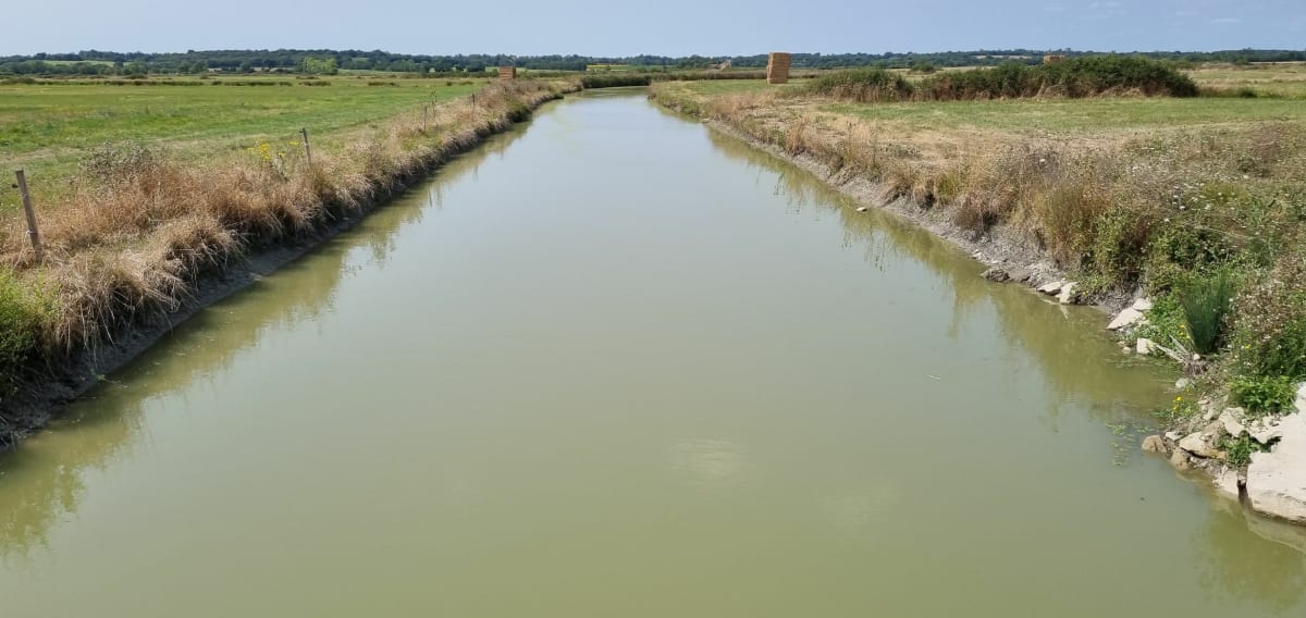 Les Marais Poitevin depuis Triaize - Triaize