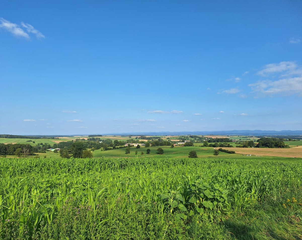 Marche en pleine campagne autour d'Hablainville - Hablainville