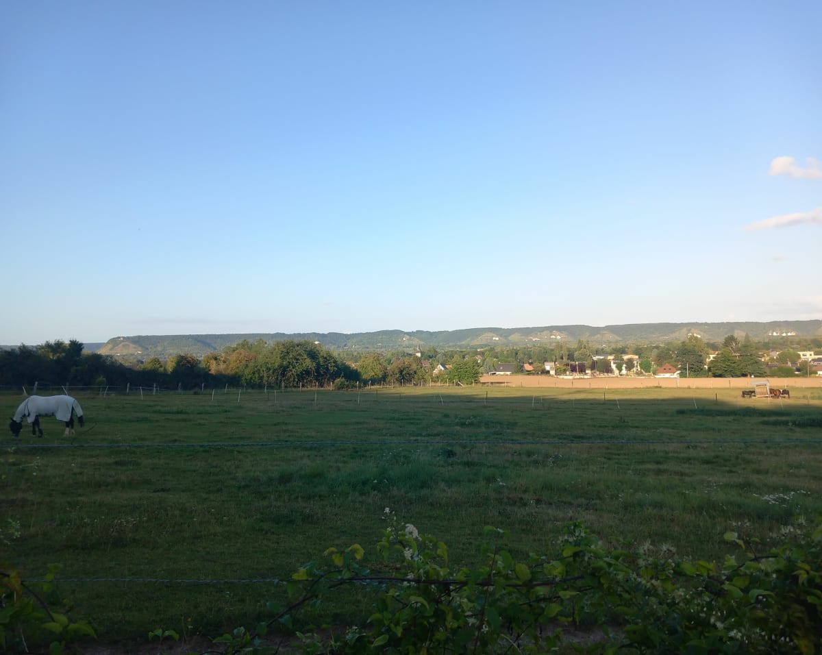 Boucle de la forêt de Bord-Louviers, au départ Lery - Lery