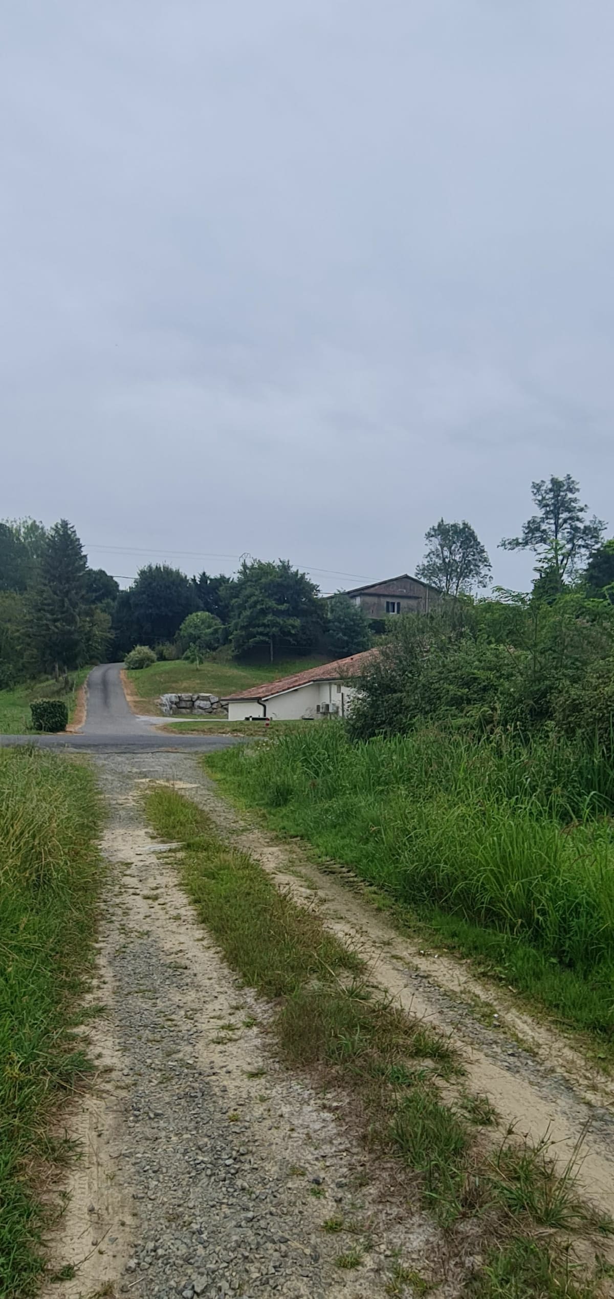 Petite balade par Bois de Berpet à vélo - Heugas