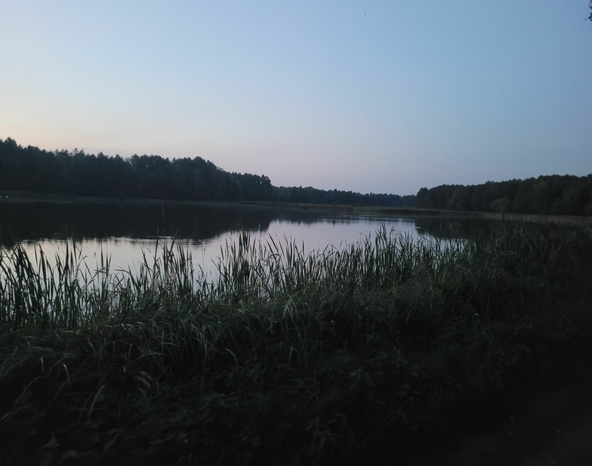 Gwaruś - Źródełko - Suszec