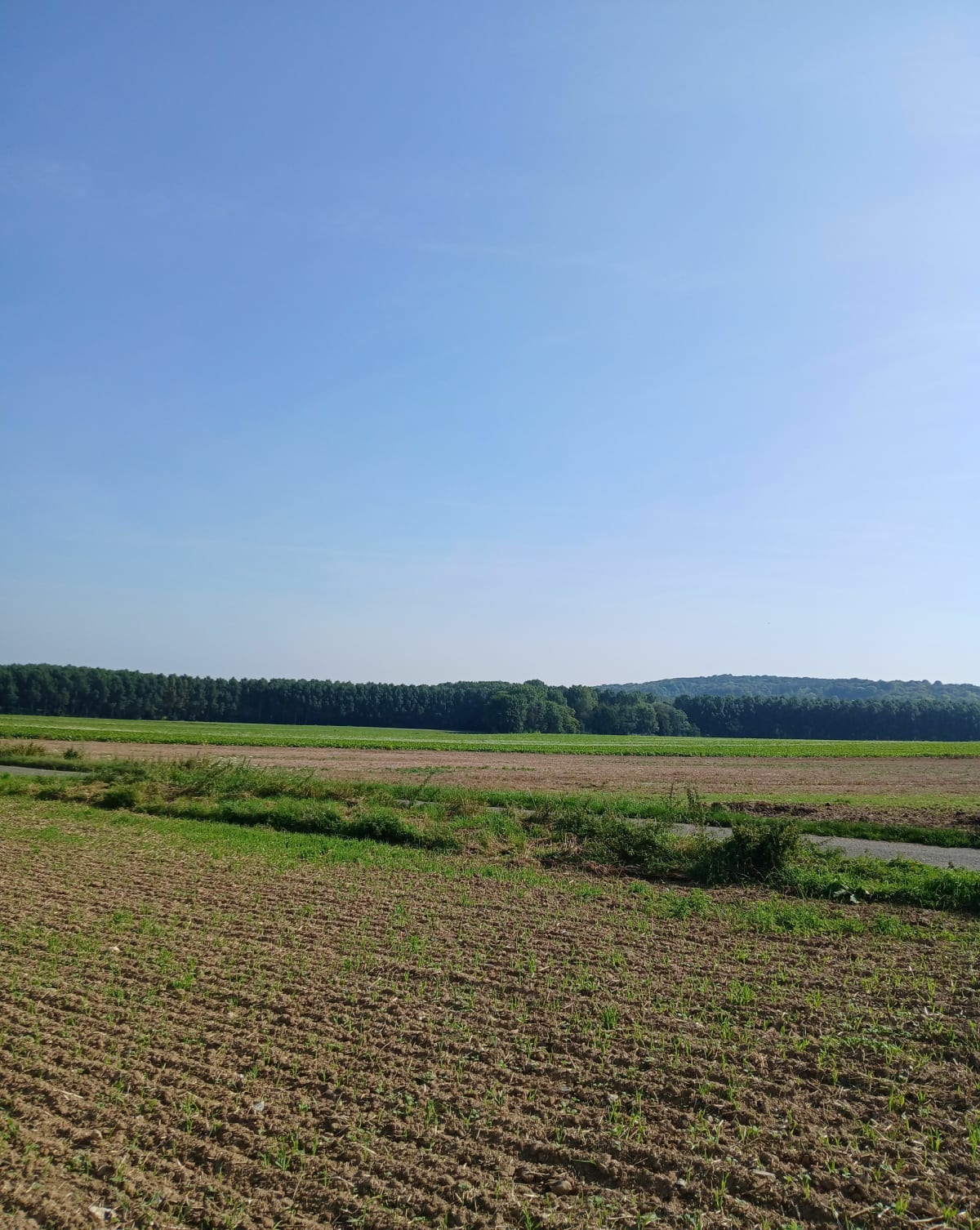 Saint-Gratien et les Couturelles - Saint-Gratien