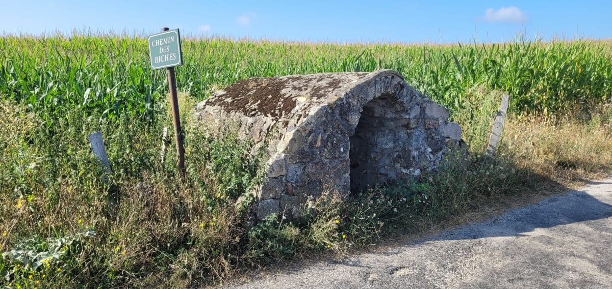 Bonne sortie en Vtc éléctrique depuis Nizieux - Saint-Ferréol-d'Auroure