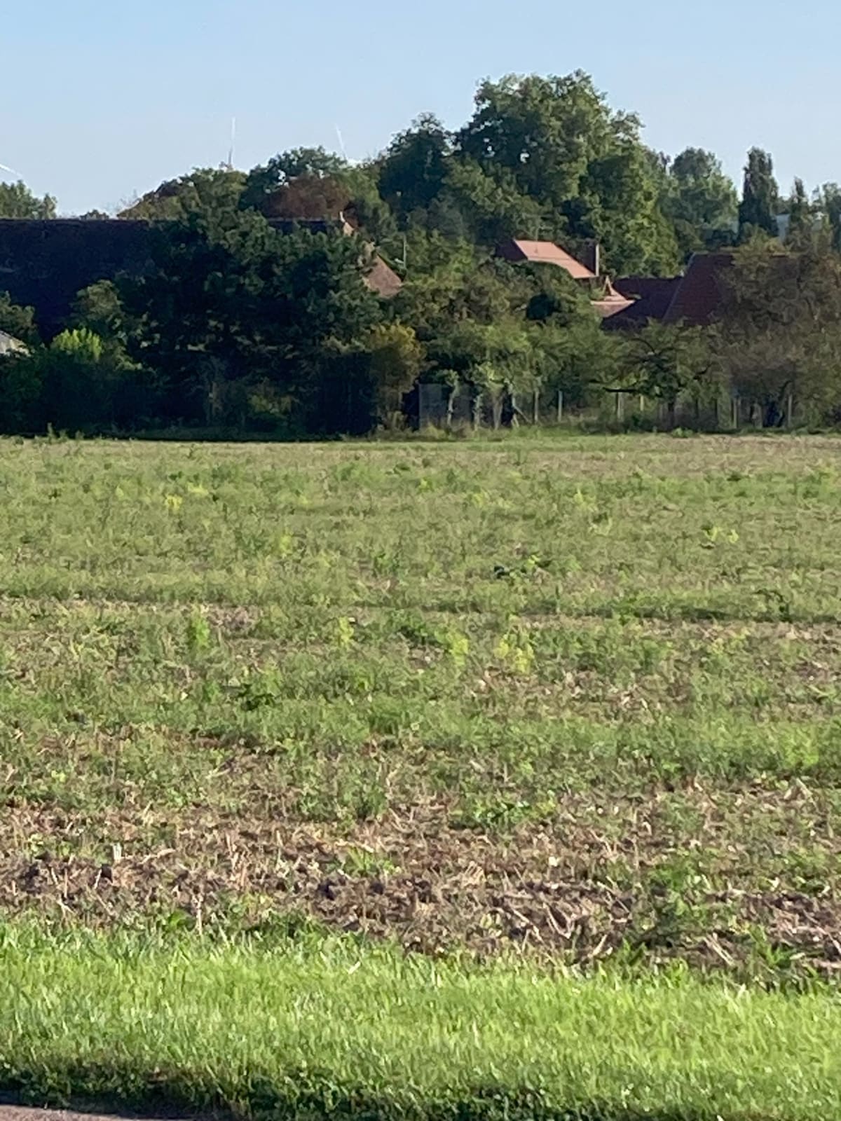 Parcours par Estissac, le château de Barberey, agréable, avec quelques montées - Saint-André-les-Vergers