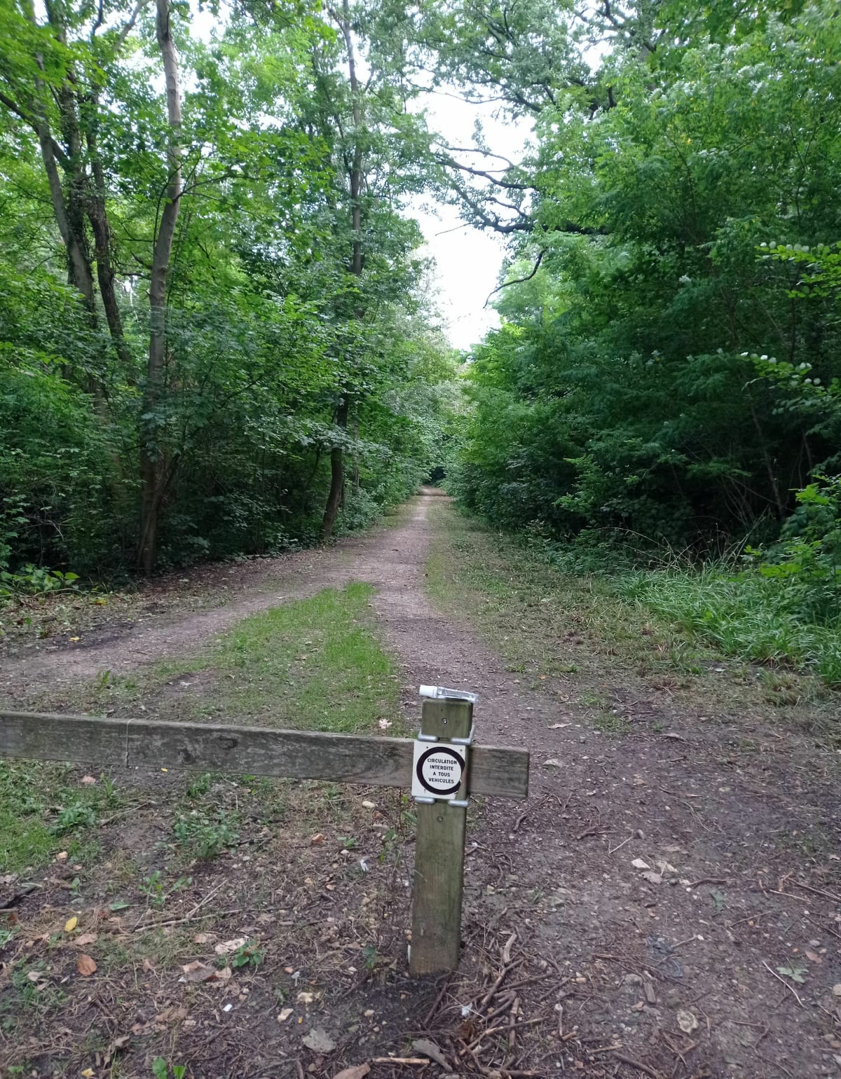 Petite balade à saint Leu la Forêt - Saint-Leu-la-Forêt