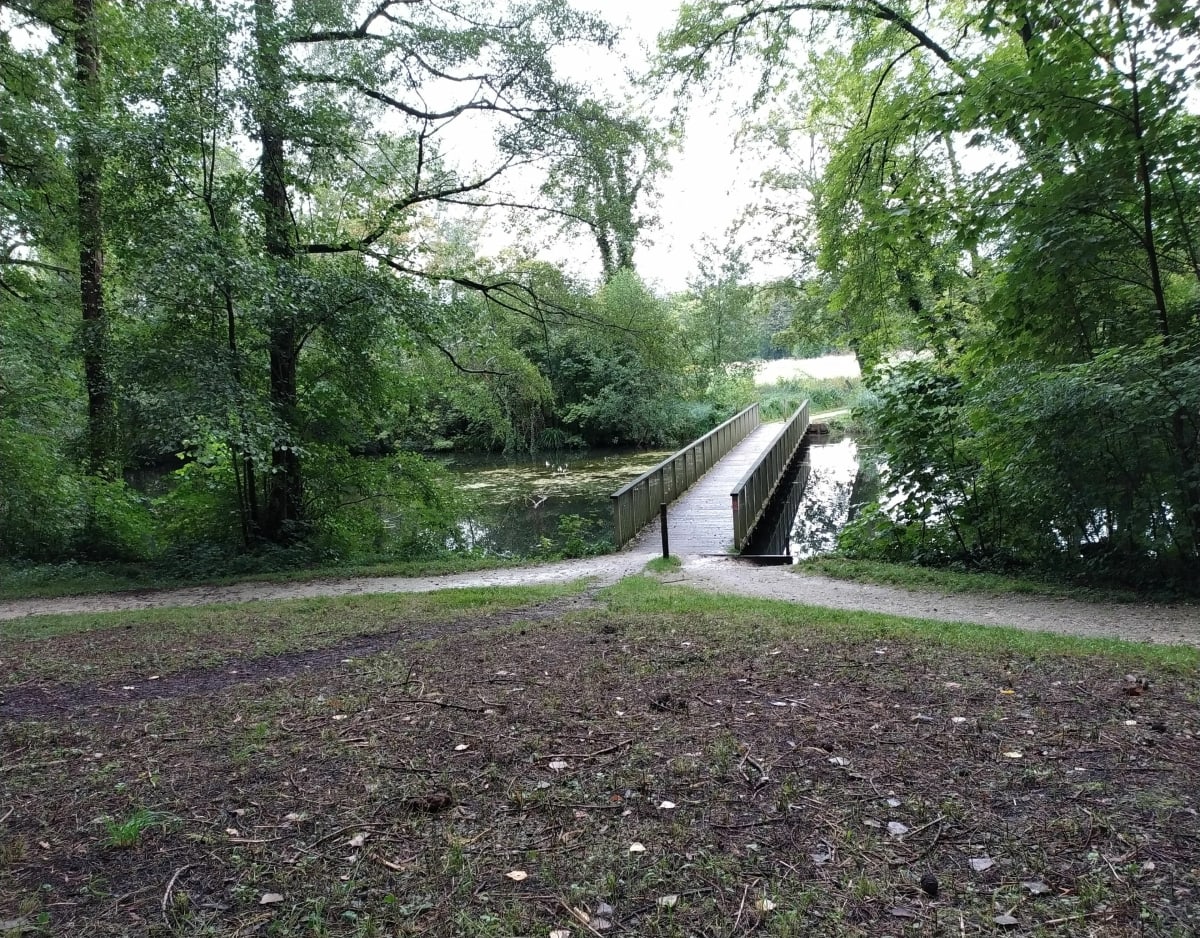 Bois de Noisiel et canal de Chelles - Noisiel
