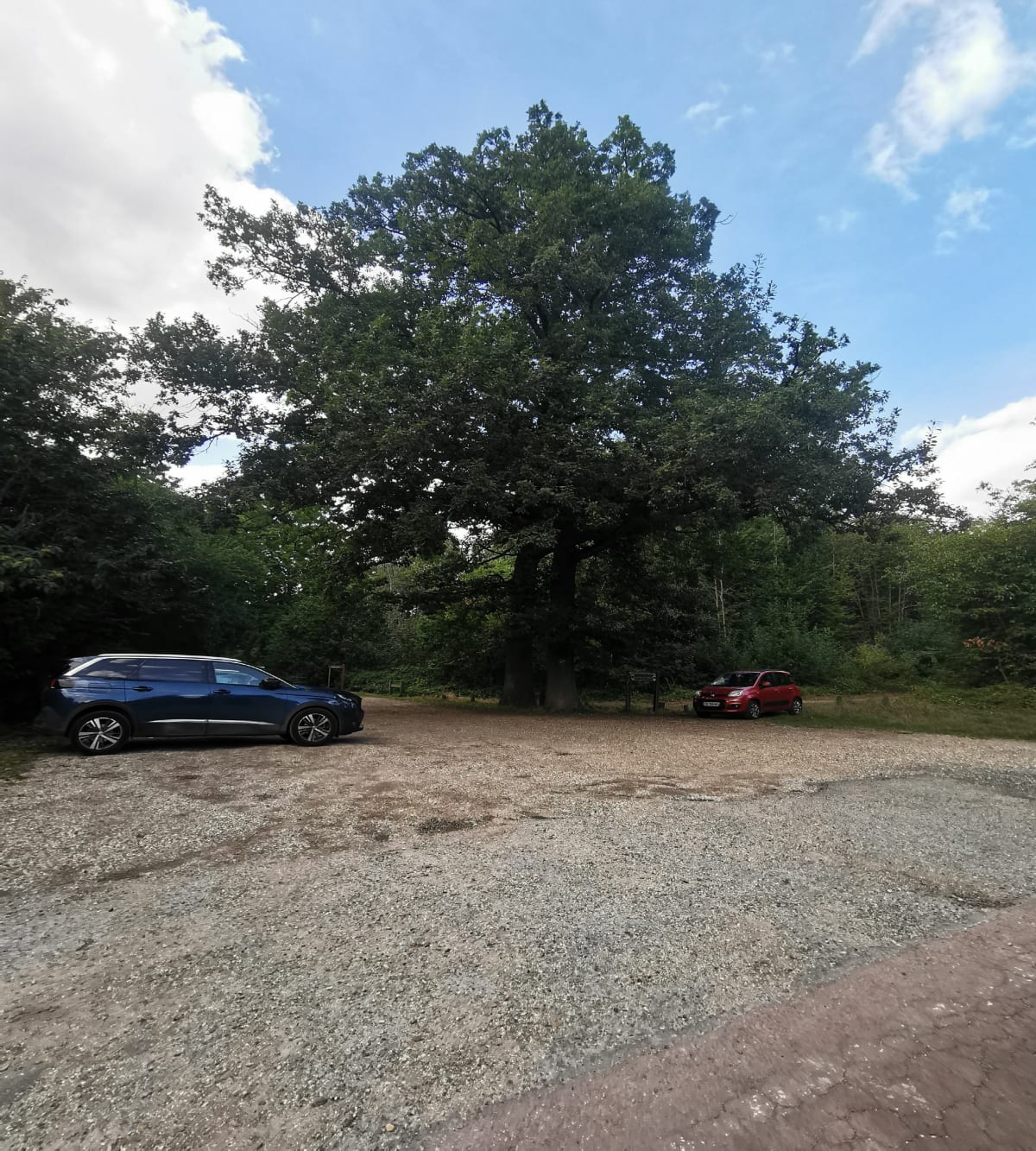 Balade en forêt de Montmorency - Saint-Leu-la-Forêt