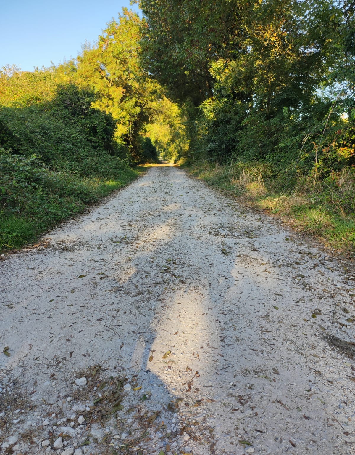 Entre champs forêt et plage - Saint-Georges-de-Didonne