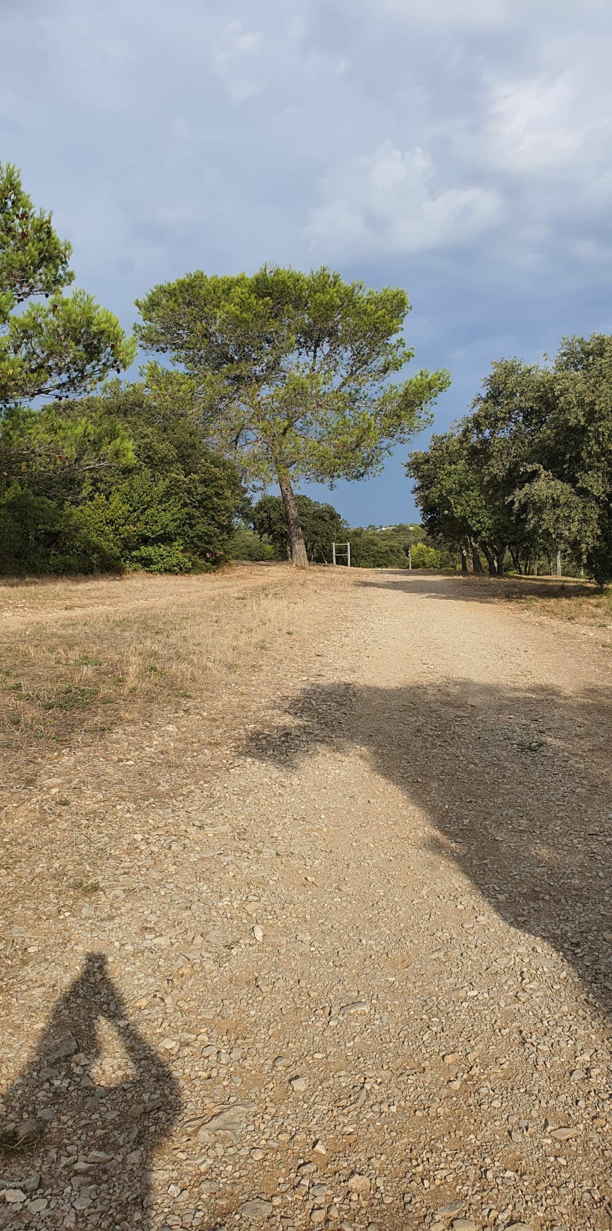 Boucle au Bois des Espesses - Nîmes