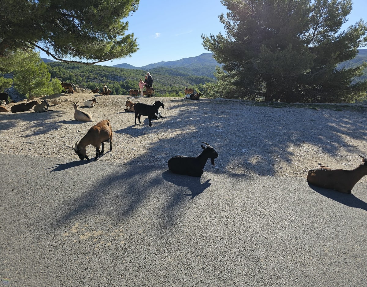 Sortie Sportive VTTAE Chaîne de l'Étoile - Allauch