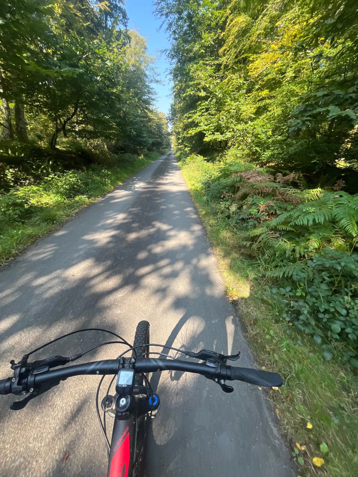 Reprise VTT en Forêt de Cerisy - Balleroy-sur-Drôme